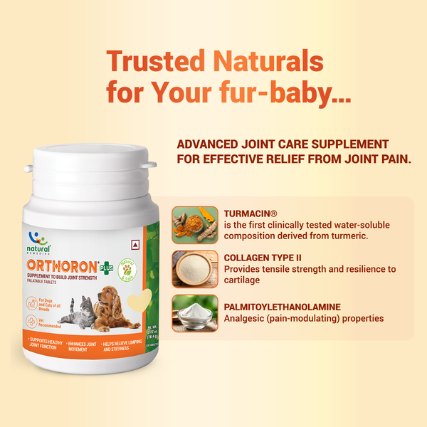 Natural Remedies Orthoron Plus Joint Supplement Tablets for Dogs and Cats