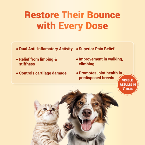 Natural Remedies Orthoron Plus Joint Supplement Tablets for Dogs and Cats