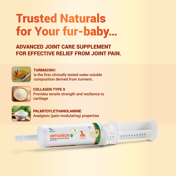 Natural Remedies Orthoron Plus Joint Supplement Paste for Dogs and Cats