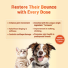 Natural Remedies Orthoron Plus Joint Supplement Paste for Dogs and Cats Both-Health & Wellness Natural Remedies