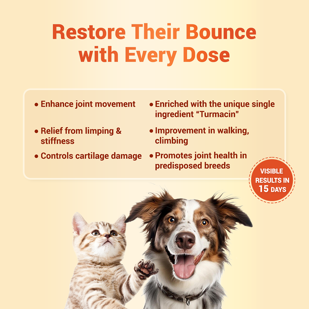 Natural Remedies Orthoron Joint Supplement Tablets for Dogs and Cats Both-Health & Wellness Natural Remedies