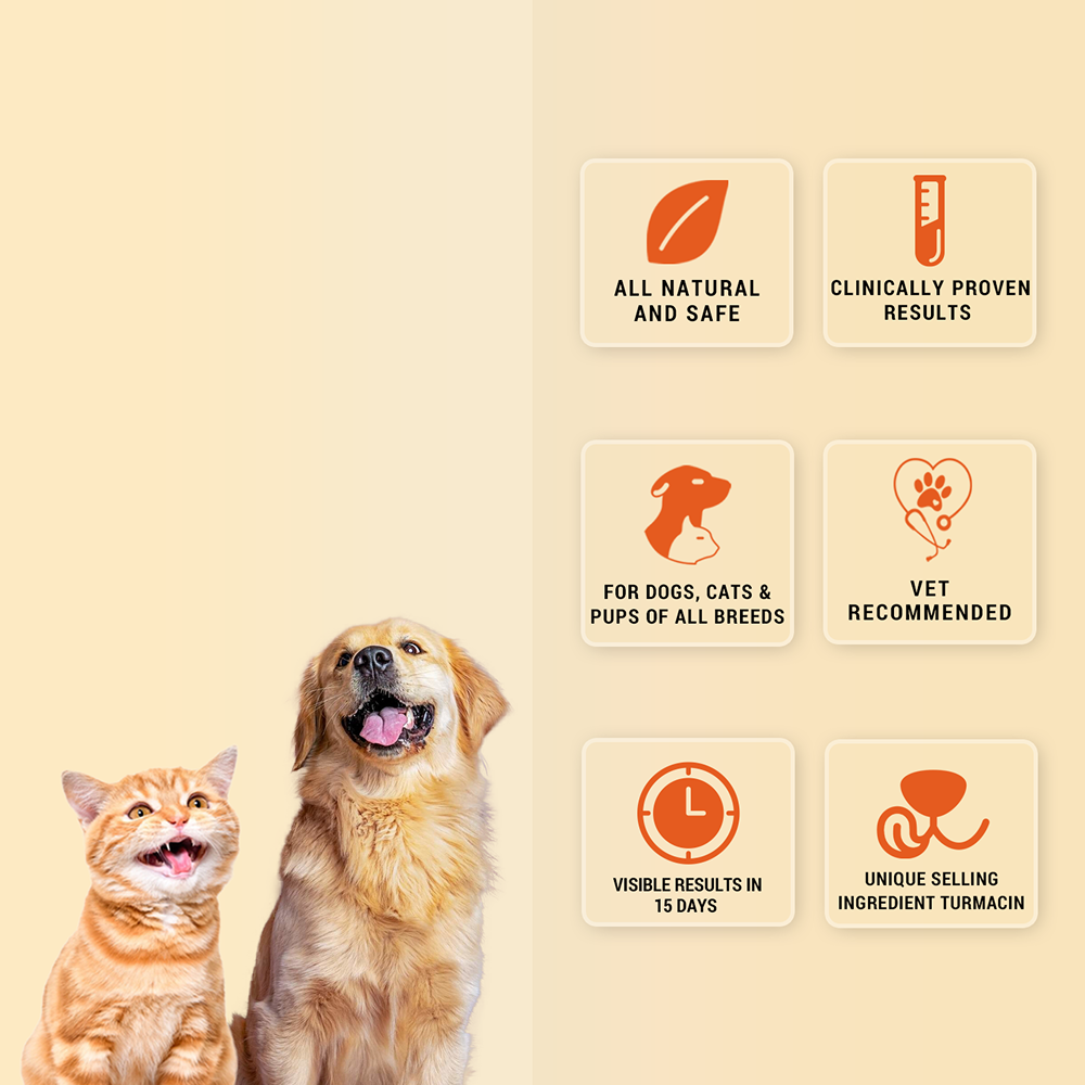 Natural Remedies Orthoron Joint Supplement Tablets for Dogs and Cats Both-Health & Wellness Natural Remedies
