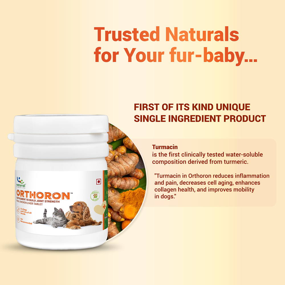 Natural Remedies Orthoron Joint Supplement Tablets for Dogs and Cats Both-Health & Wellness Natural Remedies