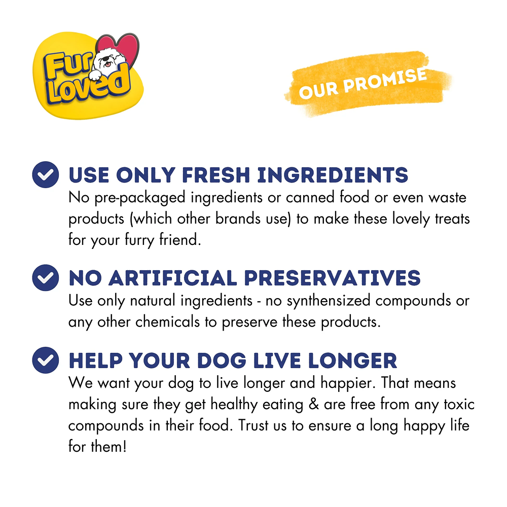 FurLoved Anchovies and Turmeric Omega Dog Treats Dog Treats + Others FurLoved