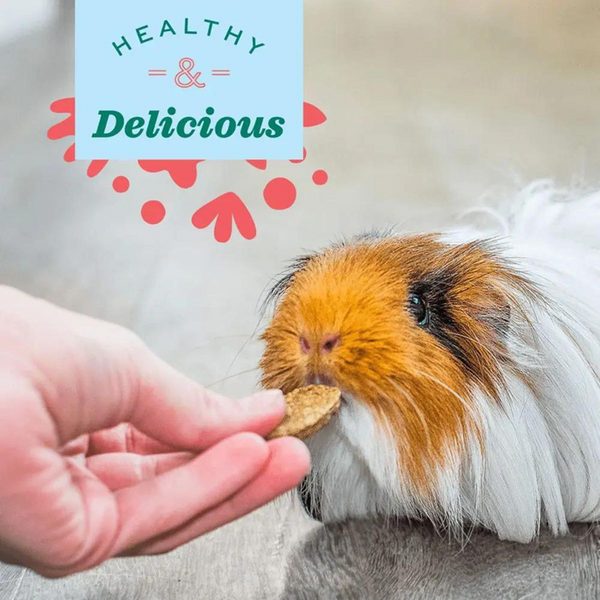 Oxbow Natural Science Urinary Support Supplement for Rabbits and Guinea Pigs