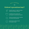 Oxbow Orchard Grass Hay for Rabbits and Guinea Pigs Hamster & Guinea pigs Oxbow