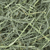 Oxbow Orchard Grass Hay for Rabbits and Guinea Pigs Hamster & Guinea pigs Oxbow