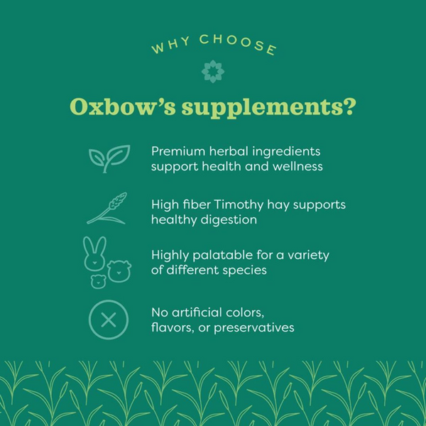 Oxbow Natural Science Digestive Support for Rabbits and Guinea Pigs