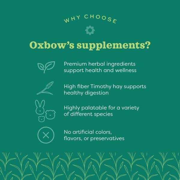 Oxbow Natural Science Multi Vitamin Supplement for Rabbits and Guinea Pigs