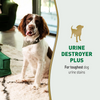 Nature’s Miracle Urine Destroyer Plus for Dogs Dogs-Health & Wellness Natures Miracle