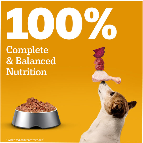 Pedigree Chicken and Liver Chunks in Gravy Adult Dog Wet Food (130g)