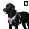 Truelove No Pull Special Edition Harness for Dogs (Camouflage Purple) Both-Collar, Leashes, harnesses True Love
