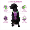 Truelove No Pull Special Edition Harness for Dogs (Camouflage Purple) Both-Collar, Leashes, harnesses True Love