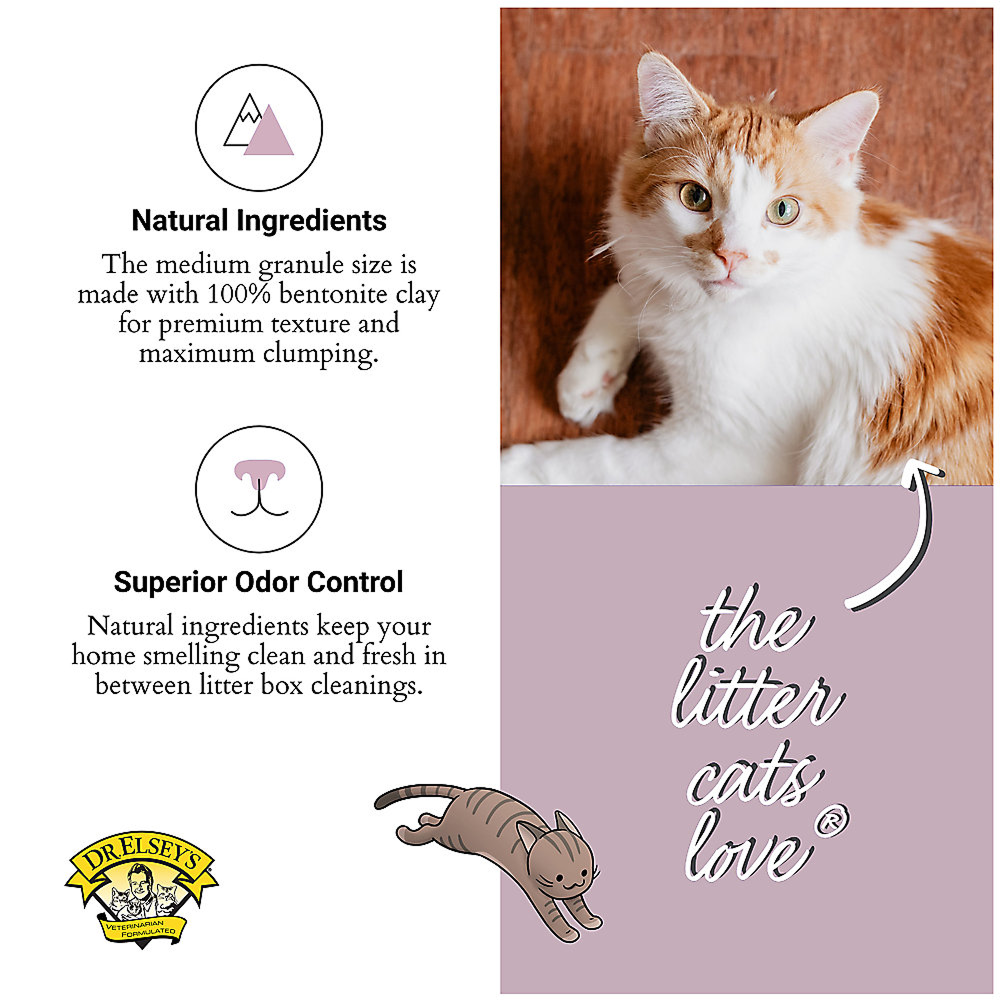 Dr. Elsey's PC Paw Sensitive Cat Litter Cats-Litter Dr Elseys