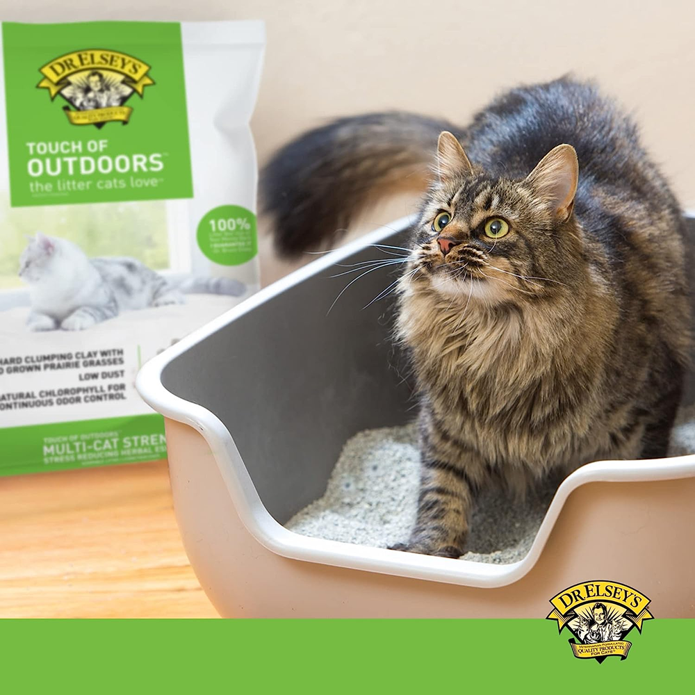 Dr. Elsey's PC Touch of Outdoors Scented Cat Litter Cats-Litter Dr Elseys