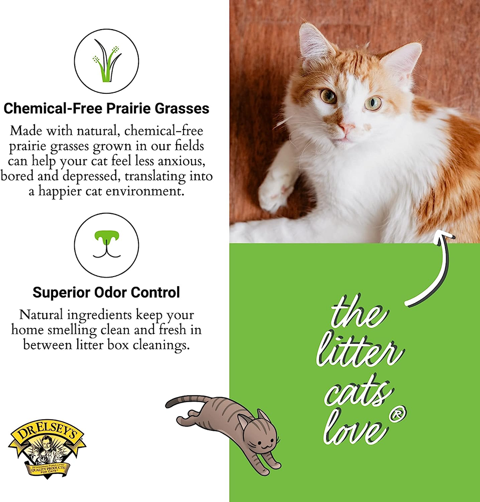 Dr. Elsey's PC Touch of Outdoors Scented Cat Litter Cats-Litter Dr Elseys