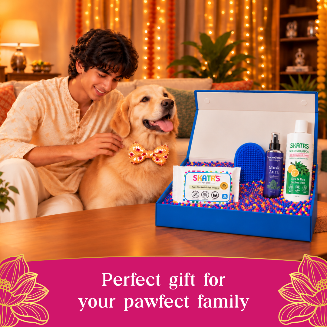 Festive Glow Up Kit Both-Grooming Supplies Supertails
