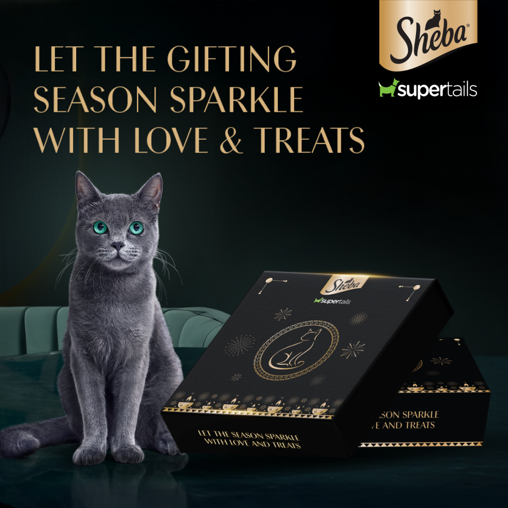 Sheba Festive Gift Box | Limited Edition Celebration Hamper for Cats | Perfect Diwali Gift
