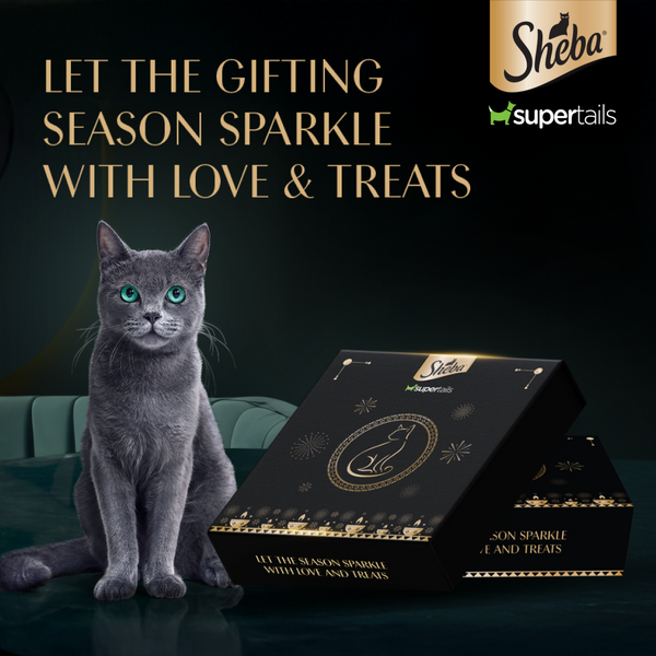 Sheba Festive Gift Box | Limited Edition Celebration Hamper for Cats | Perfect Diwali Gift