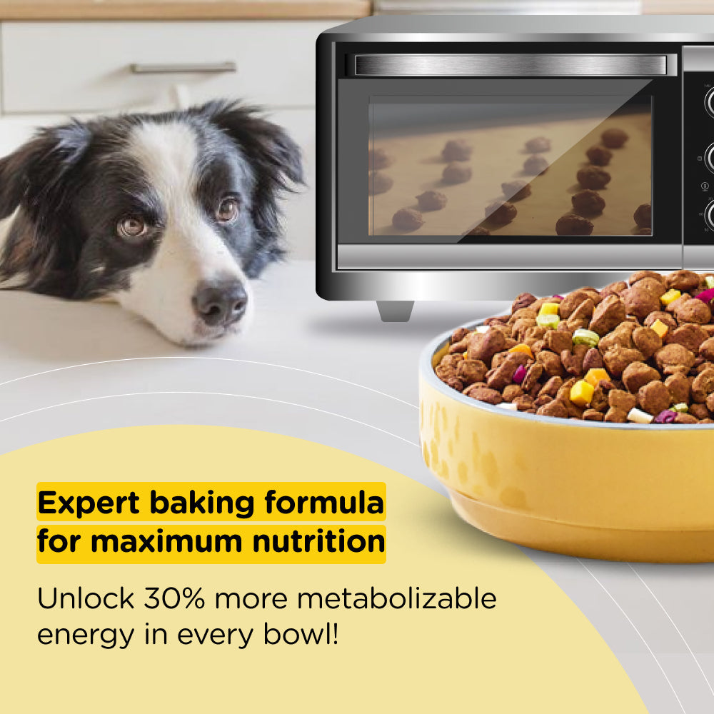 Henlo Baked Dry Food for Adult Dogs | 100% human grade ingredients