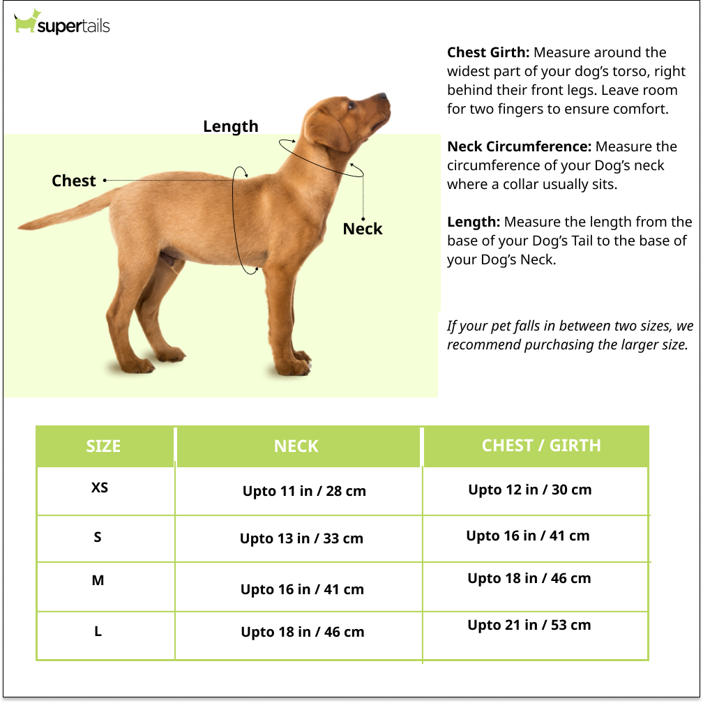 Pets Way Cupid Air Mesh Printed Harness for Puppies and Small Dogs Dogs-Collar, Leashes, harnesses Pets Way