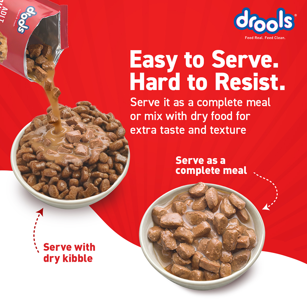 Drools Real Chicken & Chicken Liver Chunks in Gravy Adult Dog Wet Food Dogs-Wet Food Drools