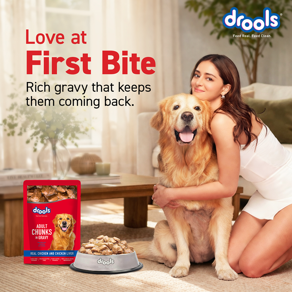 Drools Real Chicken & Chicken Liver Chunks in Gravy Adult Dog Wet Food Dogs-Wet Food Drools
