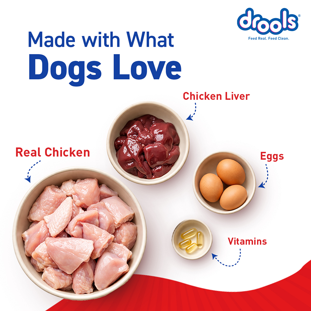 Drools Real Chicken & Chicken Liver Chunks in Gravy Adult Dog Wet Food Dogs-Wet Food Drools