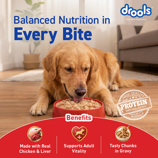 Drools Real Chicken & Chicken Liver Chunks in Gravy Adult Dog Wet Food