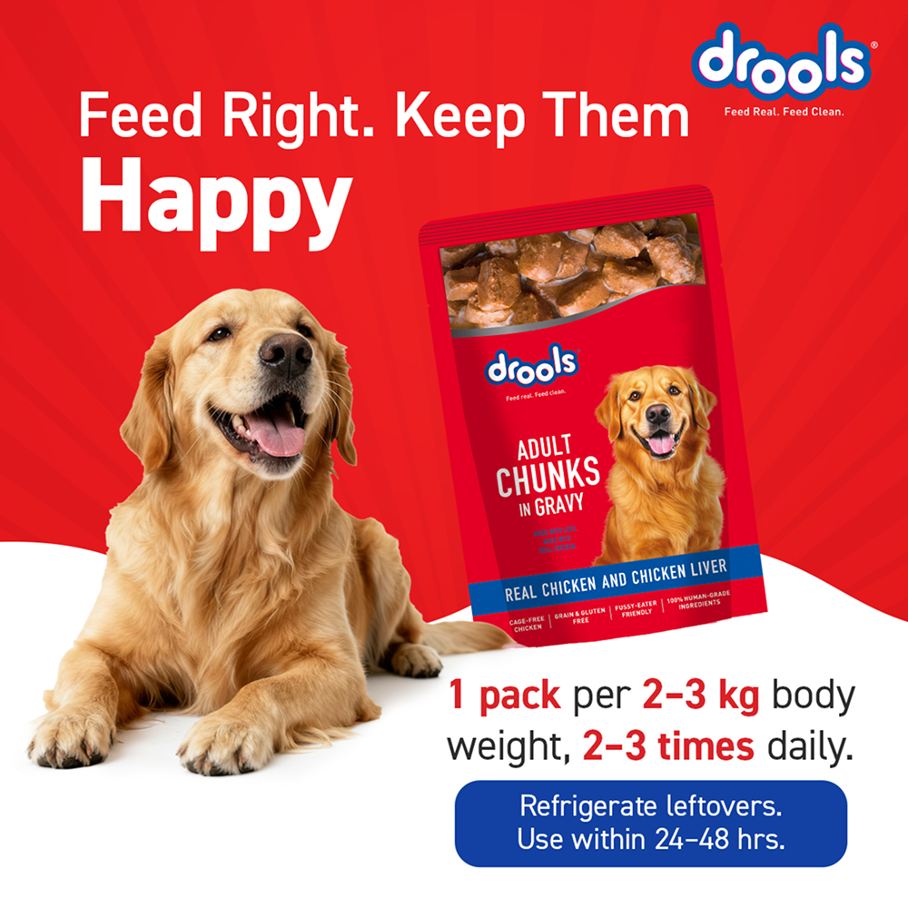 Drools Real Chicken & Chicken Liver Chunks in Gravy Adult Dog Wet Food Dogs-Wet Food Drools