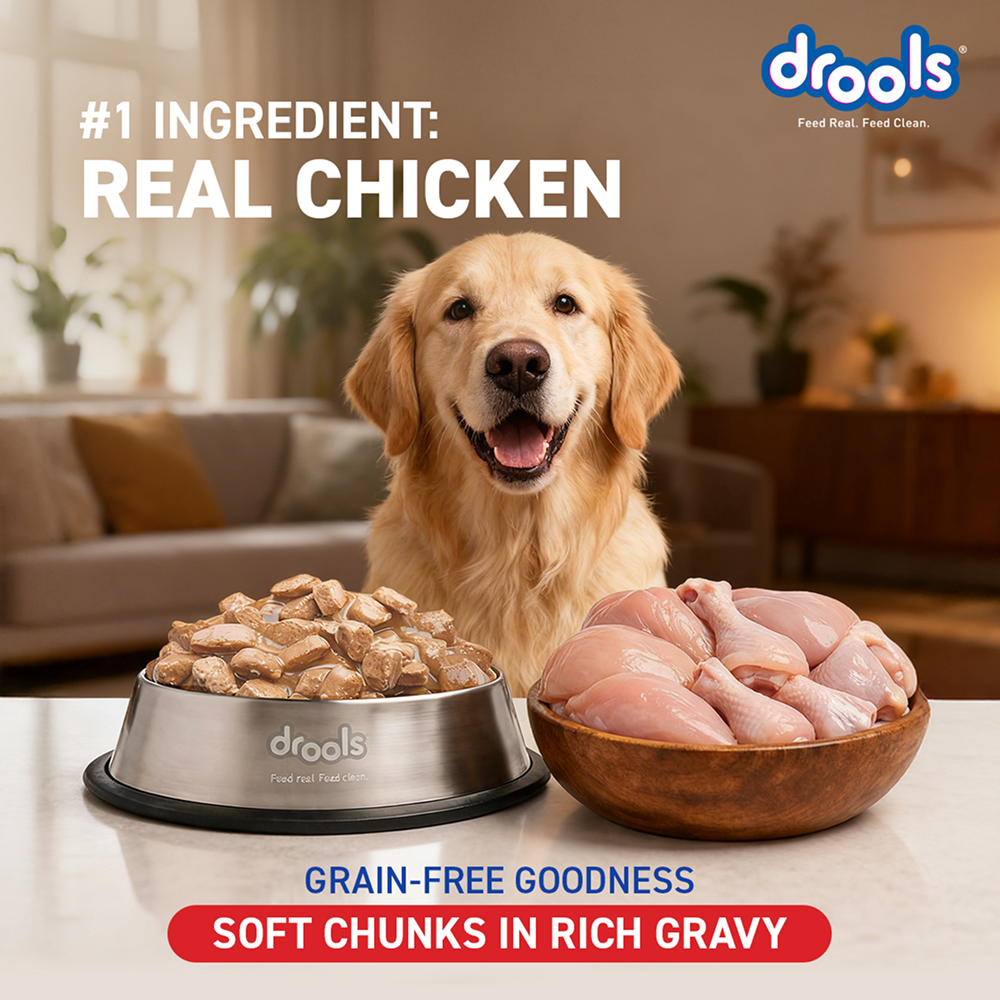 Drools Real Chicken & Chicken Liver Chunks in Gravy Adult Dog Wet Food Dogs-Wet Food Drools