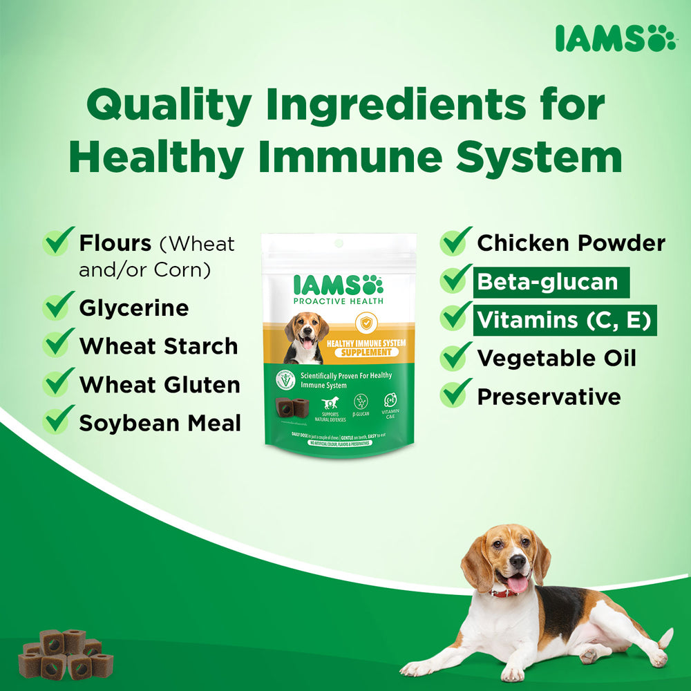 IAMS Proactive Health Dog Supplement For Healthy Immune System (Limited Shelf Life)