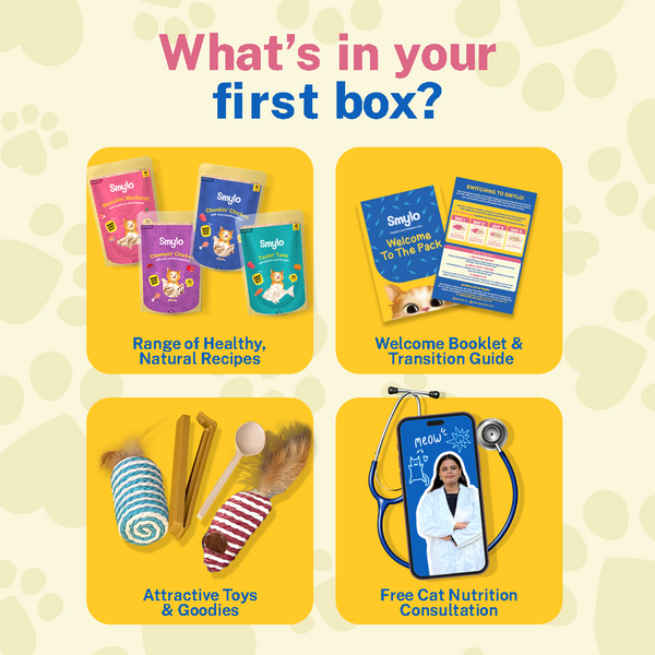Smylo Trial Box Tuna, Chicken and Mackerel  Fresh and No Preservative Adult Cat Wet Food