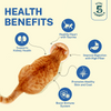 Smylo Trial Box Tuna and Chicken Fresh and No Preservative Kitten Cat Wet Food Cats-Wet Food Smylo