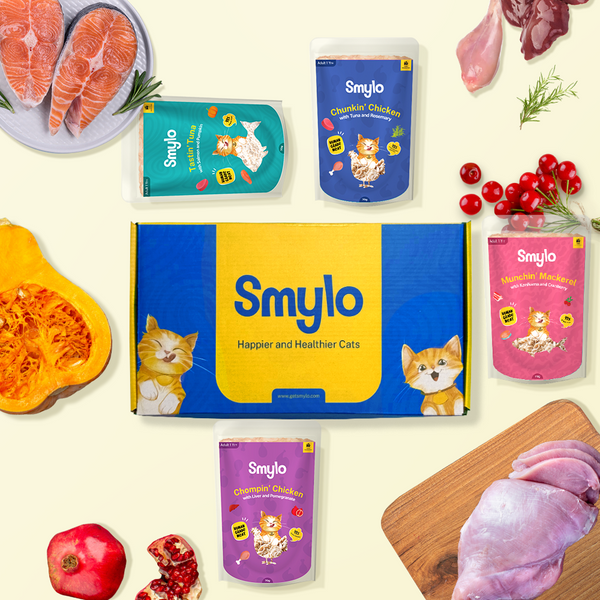 Smylo Trial Box Tuna, Chicken and Mackerel  Fresh and No Preservative Adult Cat Wet Food