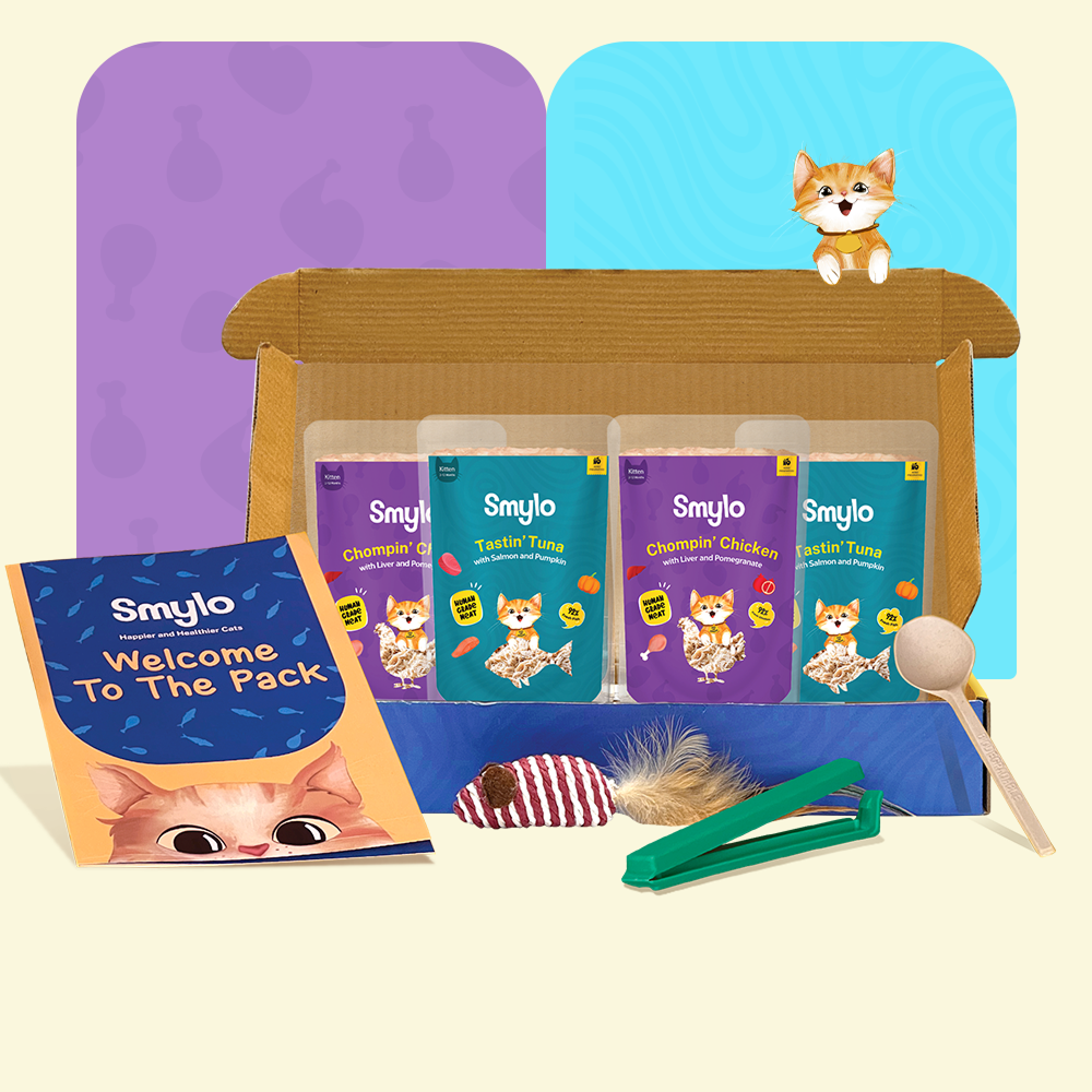 Smylo Trial Box Tuna and Chicken Fresh and No Preservative Kitten Cat Wet Food Cats-Wet Food Smylo