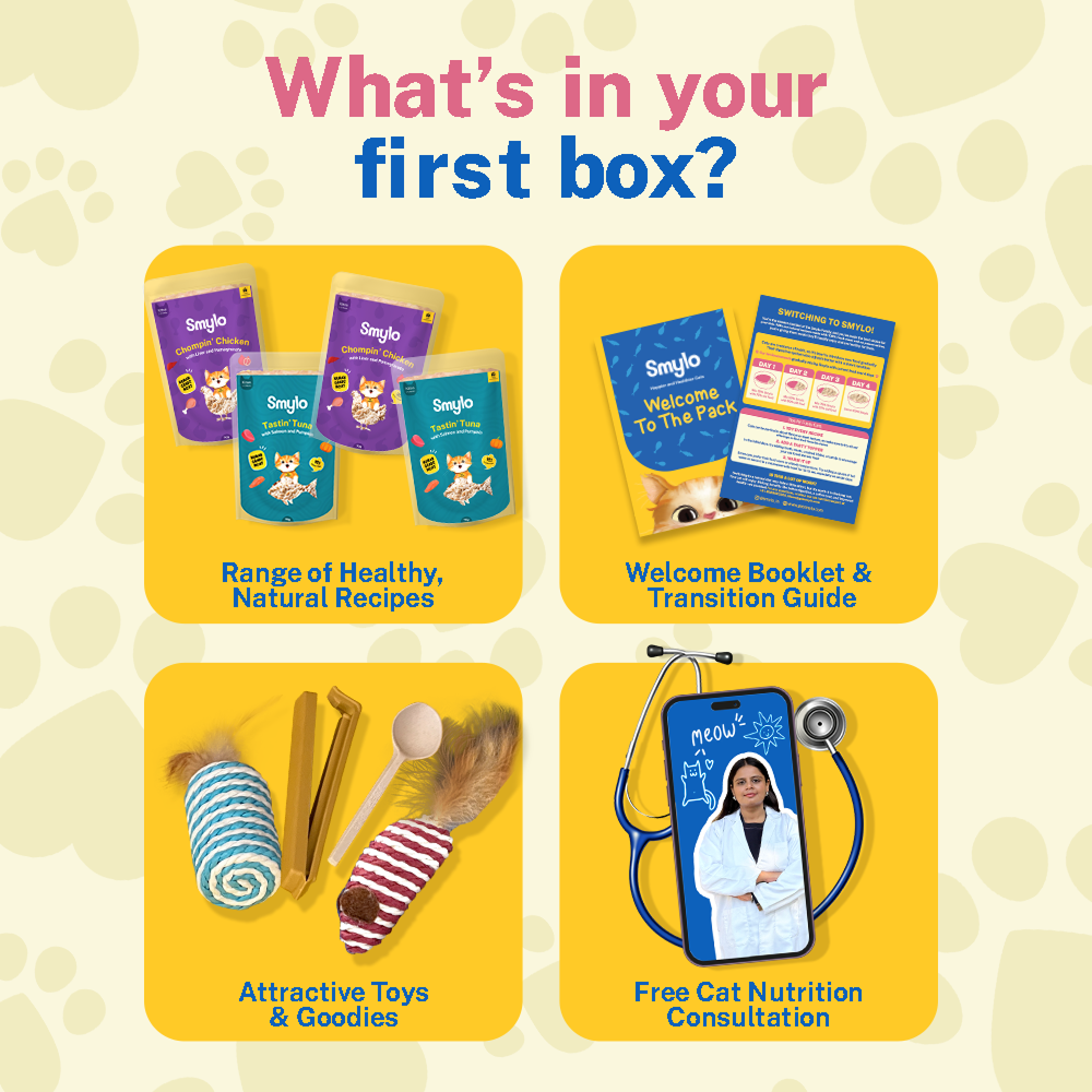 Smylo Trial Box Tuna and Chicken Fresh and No Preservative Kitten Cat Wet Food Cats-Wet Food Smylo