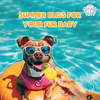 Pup Ice Pineapples Flavoured Fruity Lollies Dog Treat Dog Treats + Others Pup Ice