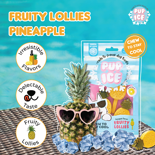 Pup Ice Pineapples Flavoured Fruity Lollies Dog Treat