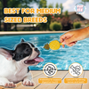 Pup Ice Pineapples Flavoured Fruity Lollies Dog Treat Dog Treats + Others Pup Ice