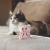 Barkbutler x Fofos Floppy Crinkle Pig Catnip Toy for Cats Cats-Toys Barkbutler