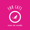 EarthBath Hypo Allergenic Fragrance Free Shampoo for Cats Both-Grooming Supplies EarthBath