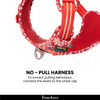 Truelove Floral No Pull Pet Harness for Dogs (Poppy Red) Dogs-Collar, Leashes, harnesses True Love