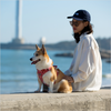 Truelove Floral No Pull Pet Harness for Dogs (Poppy Red) Dogs-Collar, Leashes, harnesses True Love