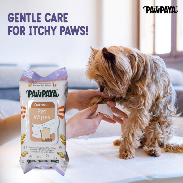 Pawpaya Oatmeal Wipes for Pets