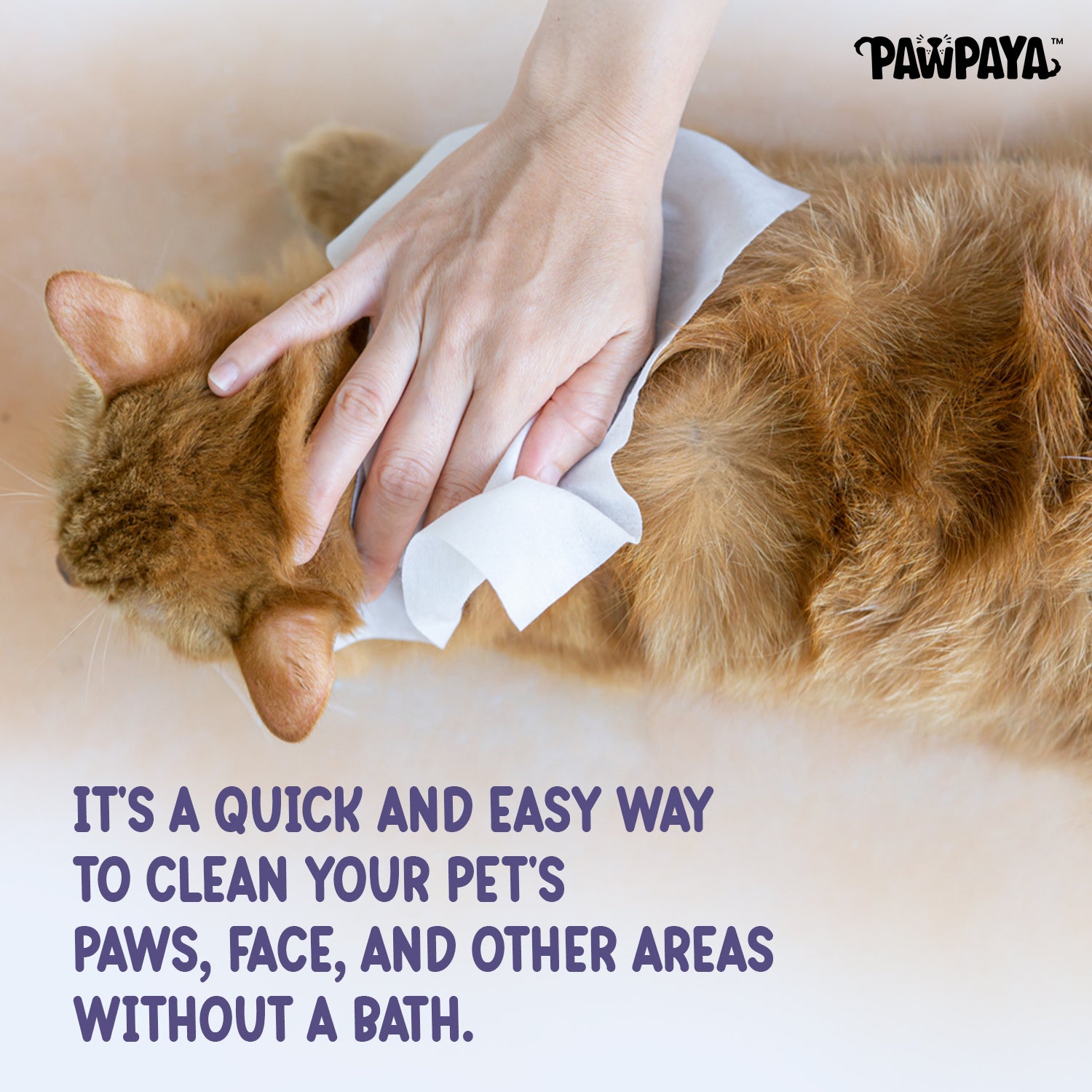 Pawpaya Oatmeal Wipes for Pets Both-Grooming Supplies Pawpaya