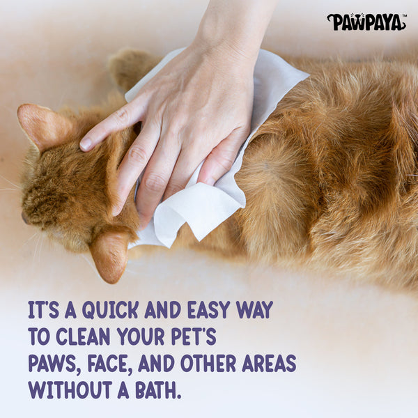 Pawpaya Oatmeal Wipes for Pets