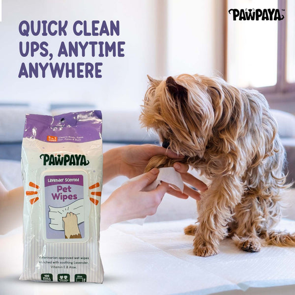 Pawpaya Lavender Scented Wipes for Dogs and Cats