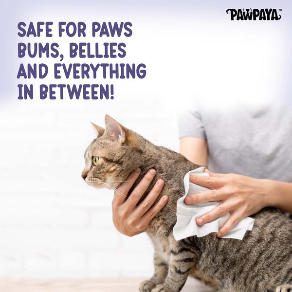 Pawpaya Lavender Scented Wipes for Dogs and Cats