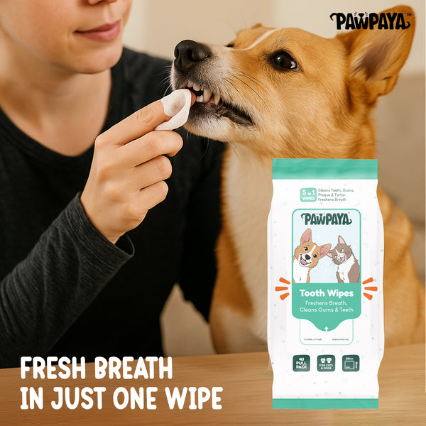 Pawpaya Tooth Wipes for Dogs and Cats